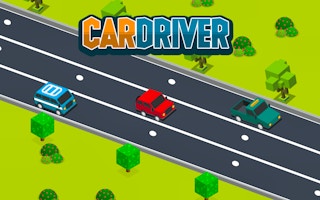 Car Driver