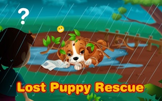 Lost Puppy Rescue And Care